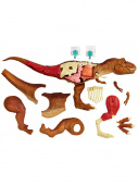 Игровой набор "Анатомия динозавра" Mattel Jurassic World FTF13