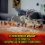 Конструктор LEGO Ninjago Дракон чародея-скелета 71721 фото