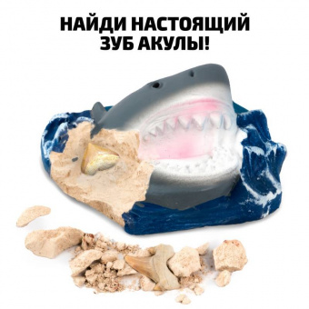 Игровой-набор Откопай зубы акулы 36030