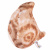 Игрушка мягконабивная Squishmallows Птеродактиль Эдмунд 20 см. 39426