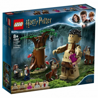 Конструктор LEGO Harry Potter Грохх и Долорес Амбридж 75967 фото