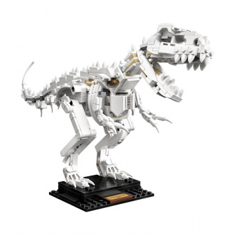 LEGO 21320 Кости динозавра фото