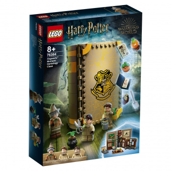 Конструктор LEGO Harry Potter 76384 фото