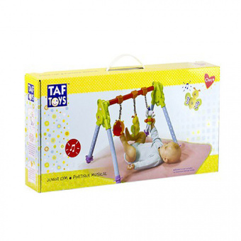 Taf Toys 10975 Таф Тойс Развивающий центр фото