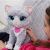 Интерактивный Котёнок Бутси Furreal Friends B5936 фото