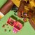 Конструктор LEGO Friends Кьюб Оливии с фламинго 41662 фото