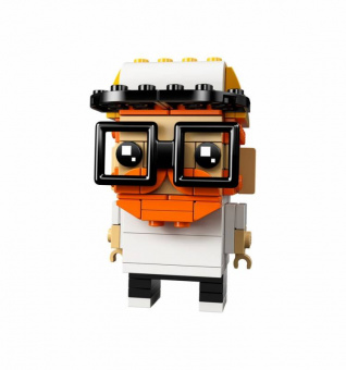 LEGO 41597 Собери меня из кубиков фото