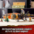 Конструктор LEGO Ninjago Скорострельный истребитель Коула 71736 фото